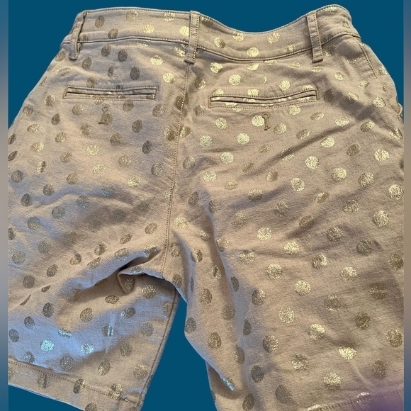 ANTHROPOLOGIE linen shorts with metallic polka dots, 25, generous. - Picture 2 of 8